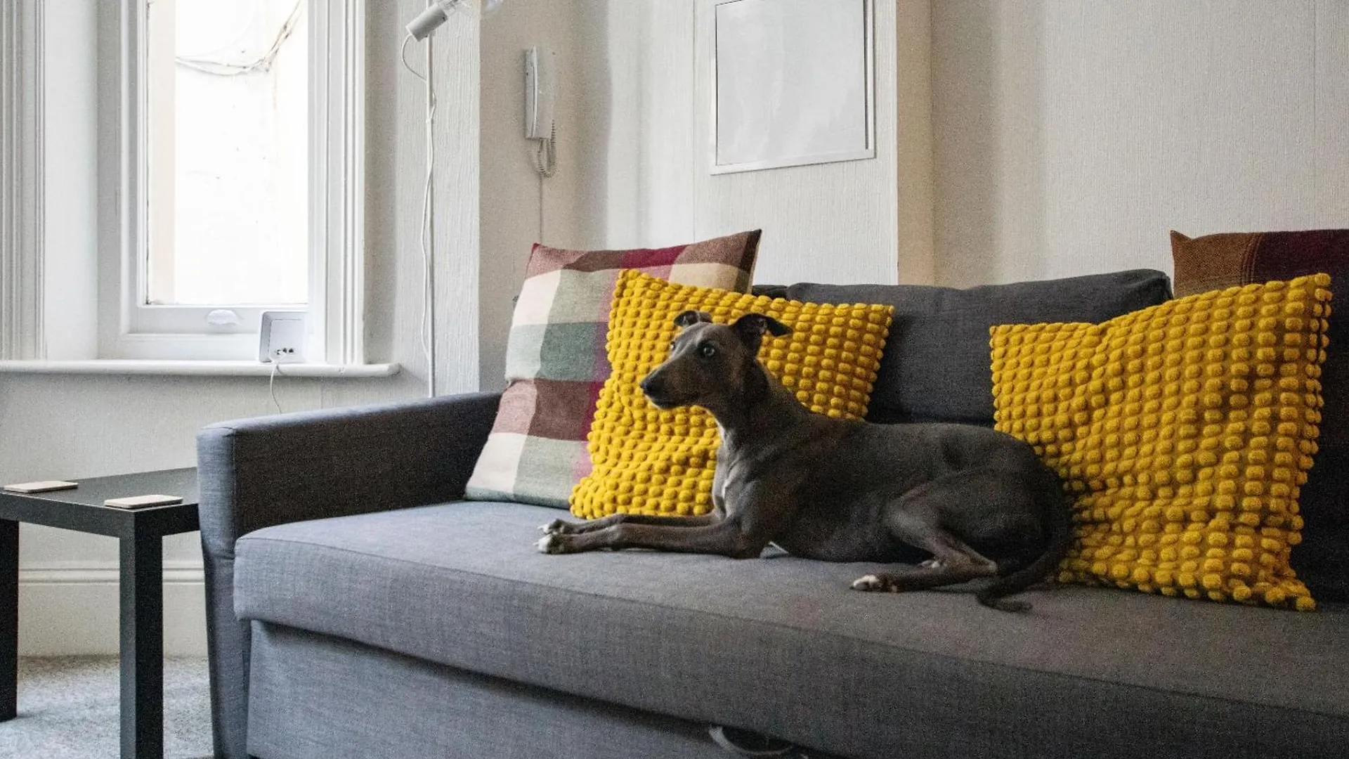 The Sand Bank - Flat 1, Cosy, Central Bournemouth, Sleeps 4, 7 Min From The Beach, Pet Friendly, Parking, Wifi, Kitchen,Washer,Private Exit